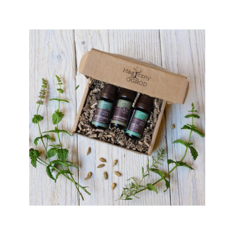 Stabiliți o minte limpede