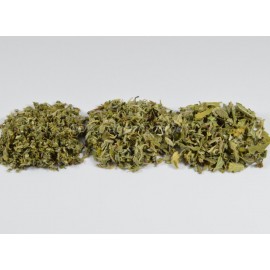 Frunze de Damiana premium - Turnera diffusa - 5kg tocat