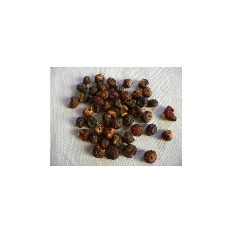 Nuci Trifoliatus pentru spălare - Sapindus triifoliatus - 1kg