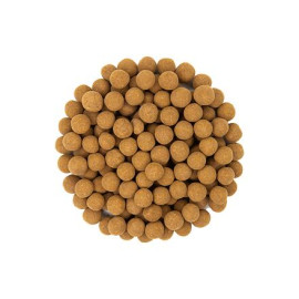 Crispies de orez cu scorțișoară
