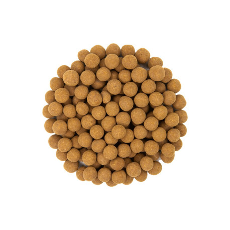 Chipsuri de ciocolată cu orez cu scorțișoară - 3kg
