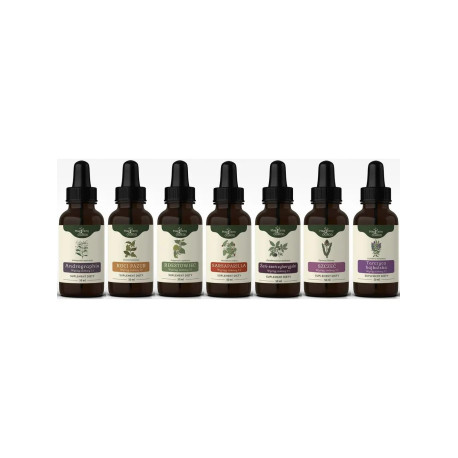 Protocolul Bühner pentru tinctura bolii Lyme - EXTINS - 50ml