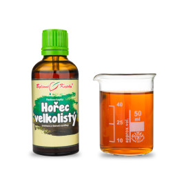Gențiană cu frunze mari (MTC) - Picături din plante Paul (tinctură) 50 ml