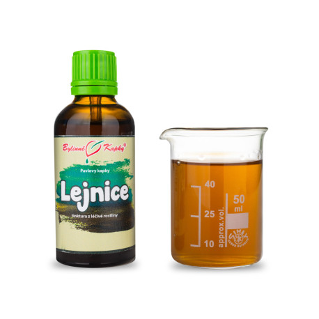 Lejnice (TCM) - Picături din plante Paul (tinctură) 50 ml