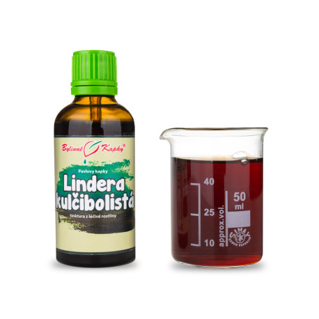 Lindera kulčibolista (TCM) - Picături din plante Pauls (tinctură) 50 ml