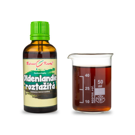 Oldenlandia Stretched (TCM) - Pauls Picături din plante (tinctură) 50 ml