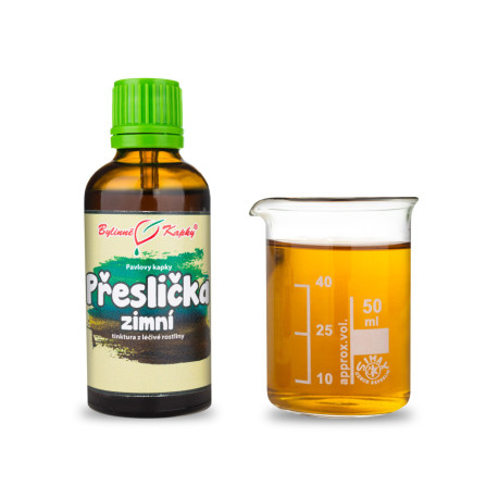 Coada-calului de iarnă (MTC) - picături din plante Paul (tinctură) 50 ml