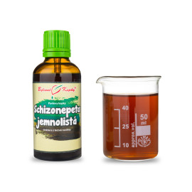 Schizonepeta (TCM) - Pavlovy picături din plante (tinctură) 50 ml