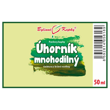 Anghilă (MTC) - picături din plante Paul (tinctură) 50 ml
