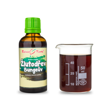 Yellowwood Bunge (TCM) - Pauls Herbal Drops (tinctură) 50 ml