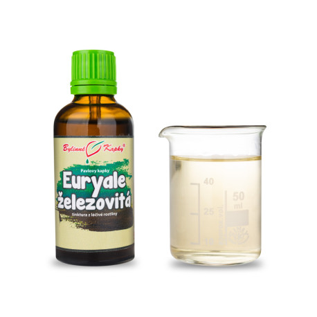 Euryale feros (MTC) - Picături din plante Paul (tinctură) 50 ml