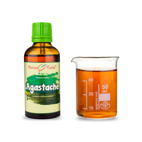 Picături de Agastache (tinctură) 50 ml