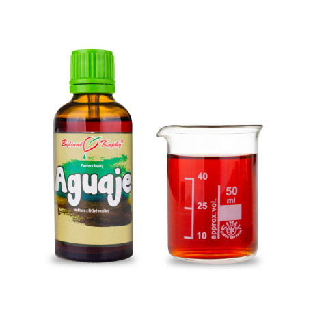 Aguaje - Picături din plante Paul (tinctură) 50 ml