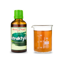 Picături de Atraktylis (tinctură) 50 ml