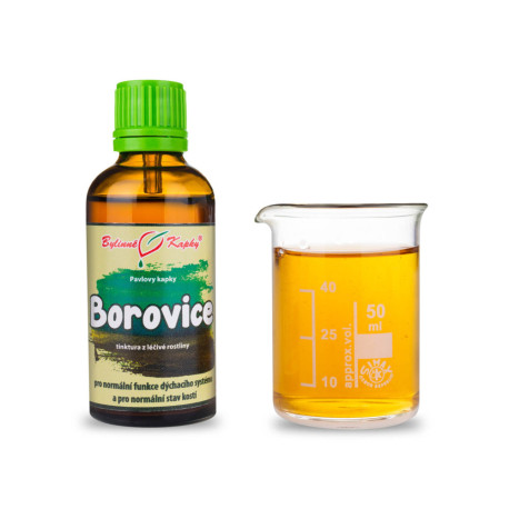 Picături de lăstari de pin silvestru (tinctură) 50 ml