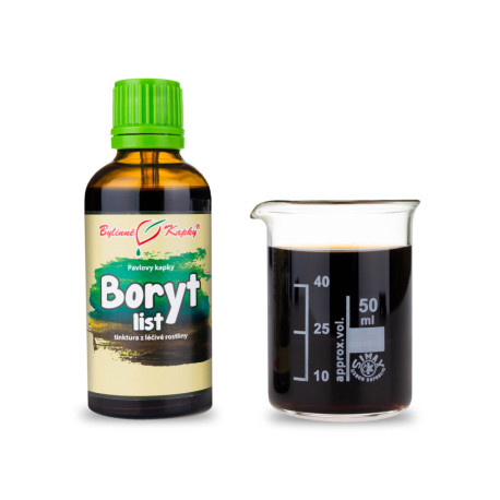 Picături de frunze comune de colorare (tinctură) 50 ml
