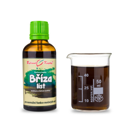 Picături de frunze pendulare de mesteacăn (tinctură) 50 ml