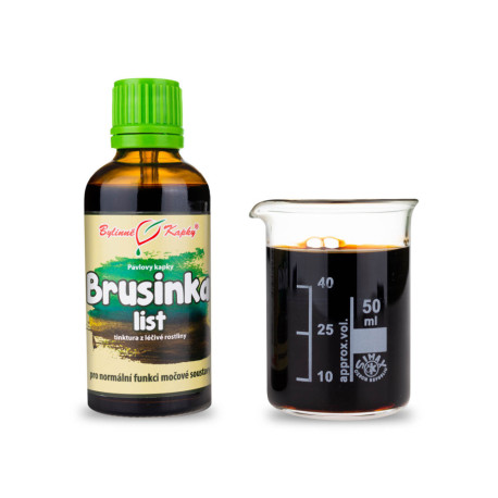 Picături de frunze de afine (tinctură) 50 ml