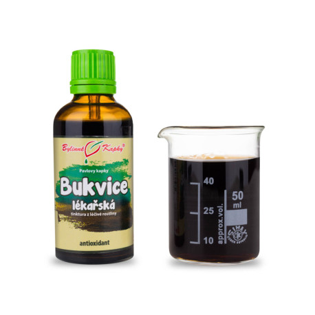 Betonika picături medicinale (tinctură) 50 ml