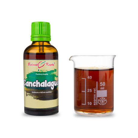 Picături de canchalagua (tinctură) 50 ml