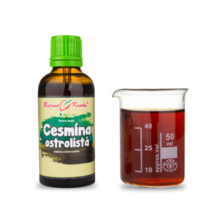Picături de holly (tinctură) 50 ml