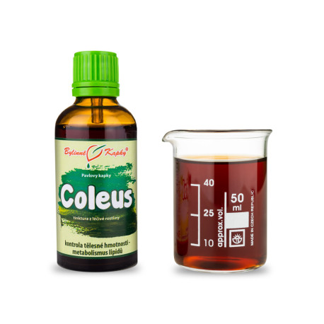 Picături de coleus (tinctură) 50 ml