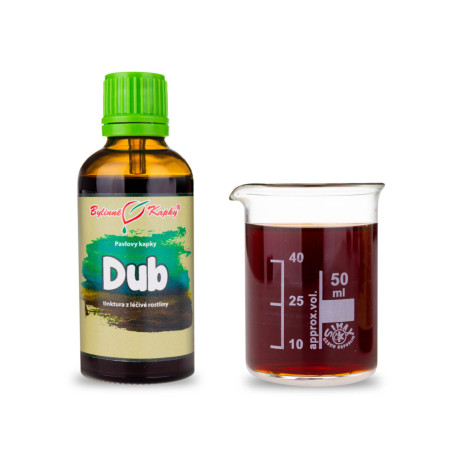 Stejar de vară (tinctură) 50 ml