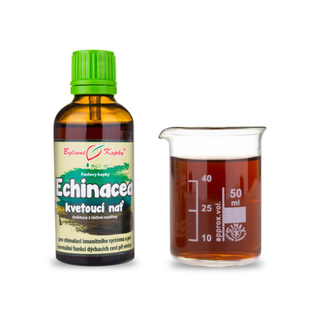Picături violete de echinacea - tulpină înflorită (tinctură) 50 ml