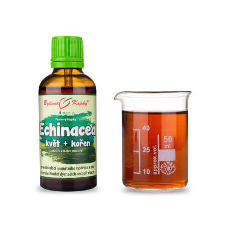 Picături violete de echinacea - tulpină înflorită + rădăcină (tinctură) 50 ml