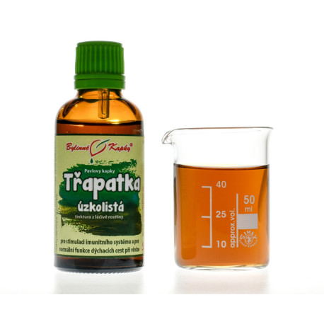 Picături de Echinacea angustifolia (tinctură) 50 ml