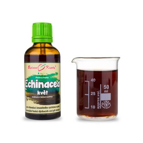 Floare violet de echinacea - (tinctură) 50 ml