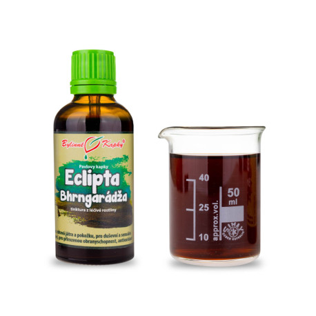 Picături albe Eclipta (tinctură) 50 ml