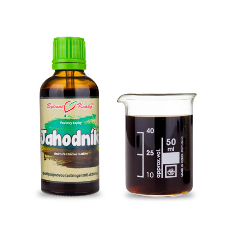Picături de căpșuni (tinctură) 50 ml