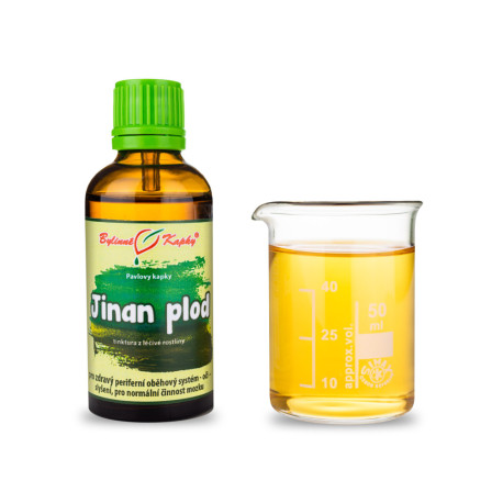 Ginkgo picături de fructe cu doi lobi (tinctură) 50 ml