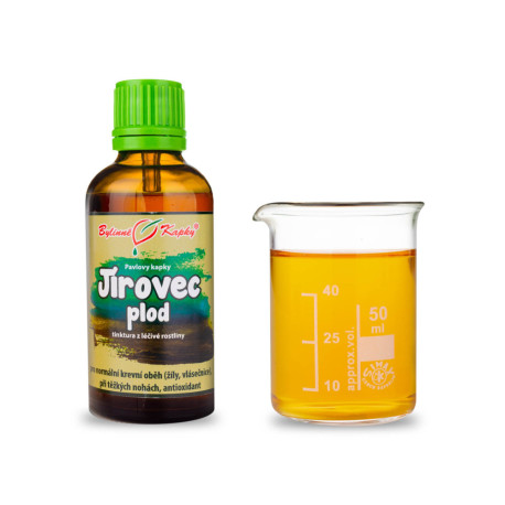Picături de fructe de castan de cal (tinctură) 50 ml