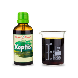 Koptis picături chinezești (tinctură) 50 ml