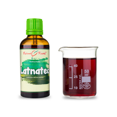 Picături Latnatec (tinctură) 50 ml