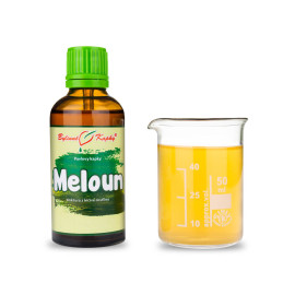 Picături de apă de pepene verde (tinctură) 50 ml