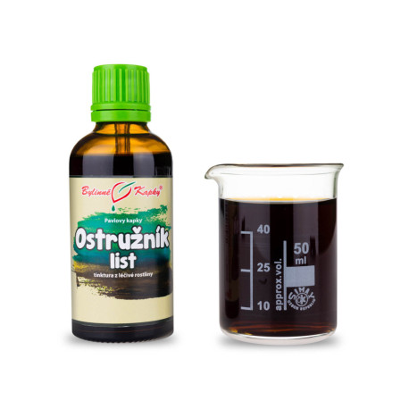 Picături de frunze de mure (tinctură) 50 ml