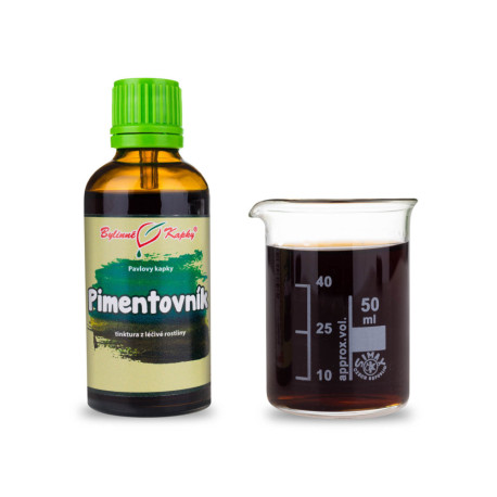 Picături de ienibahar (tinctură) 50 ml