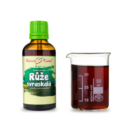 Picături de trandafir ridat (tinctură) 50 ml