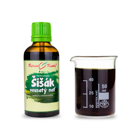 Picături de con de pin cu barbă (tinctură) 50 ml