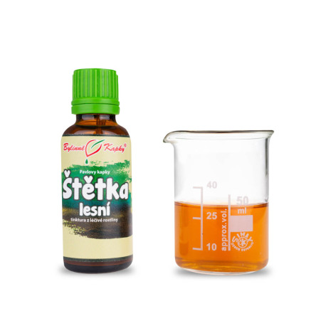 Picături de perie de pădure (tinctură) 30 ml