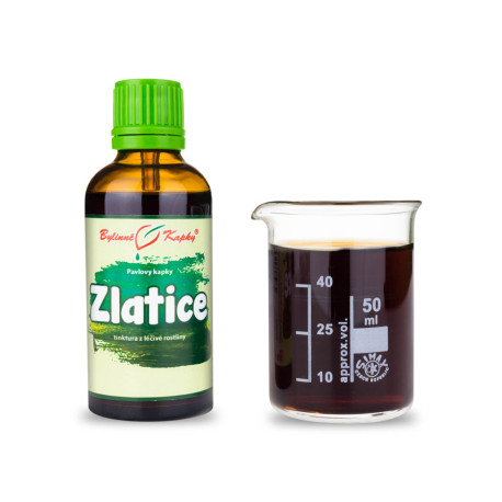 Picături de tijă de aur (tinctură) 50 ml