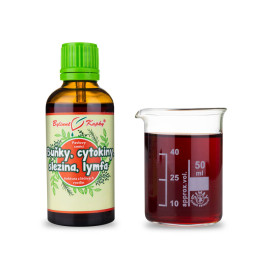 Celule, citokine, spline, limfatic (Bat 3) Picături (tinctură) 50 ml