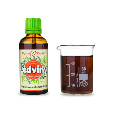 Picături de rinichi I (tinctură) 50 ml