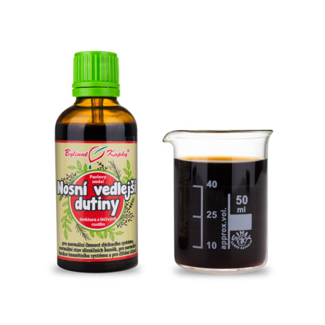 Picături pentru cavitățile nazale (tinctură) 50 ml