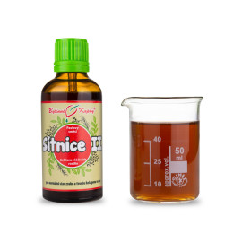 Regenerarea picăturilor retinei II (tinctură) 50 ml