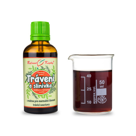 Digestie și picături pancreatice (tinctură) 50 ml