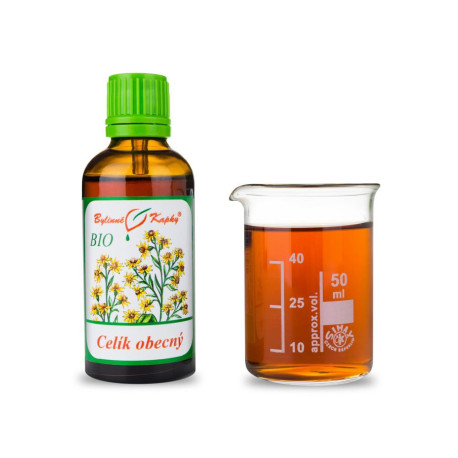 Goldenrod BIO picături (tinctură) 50 ml